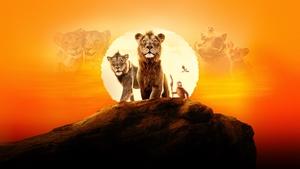 موفاسا : شیرشاه (Mufasa: The Lion King)