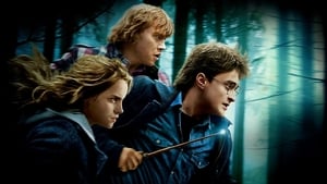 هری پاتر و یادگاران مرگ (Harry Potter and the Deathly Hallows)