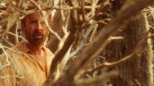 موج سوار (The Surfer)