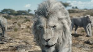 موفاسا : شیرشاه (Mufasa: The Lion King)