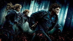 هری پاتر و یادگاران مرگ (Harry Potter and the Deathly Hallows)