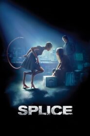 شکاف (Splice)