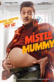 آقای خانه دار (Mister Mummy)